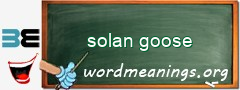 WordMeaning blackboard for solan goose